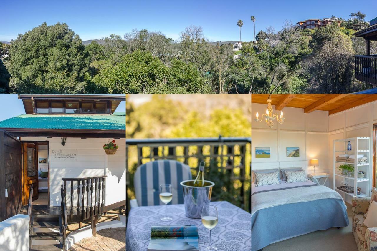 Knysna Escape Accommodation Dış mekan fotoğraf
